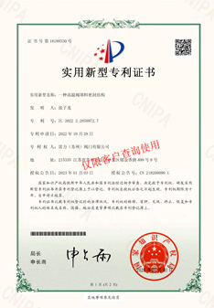 關于雷力高溫閥填料密封結構專利證書